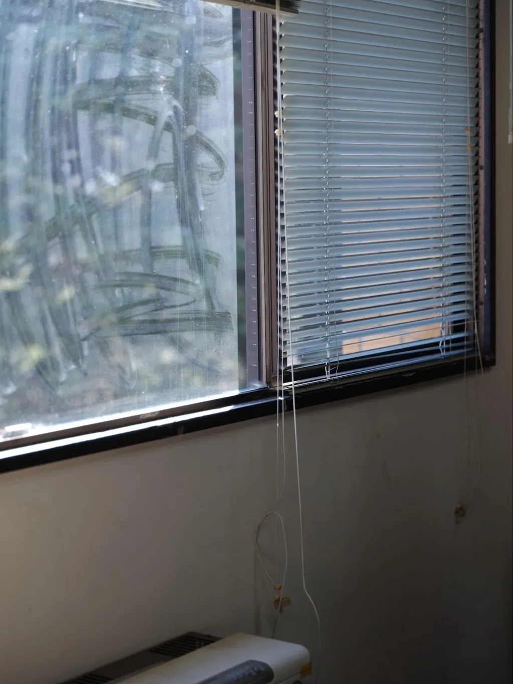 Photo of a window in the lab. Countless traces made by someone’s fingers on the window are faintly visible.