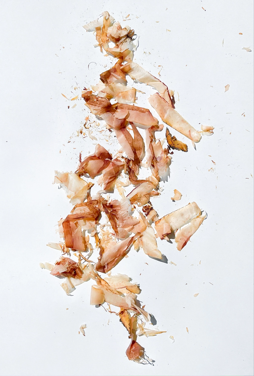 Artwork showing bonito flakes scattered across a white background. Each bonito flake is shown to have a slightly different color.