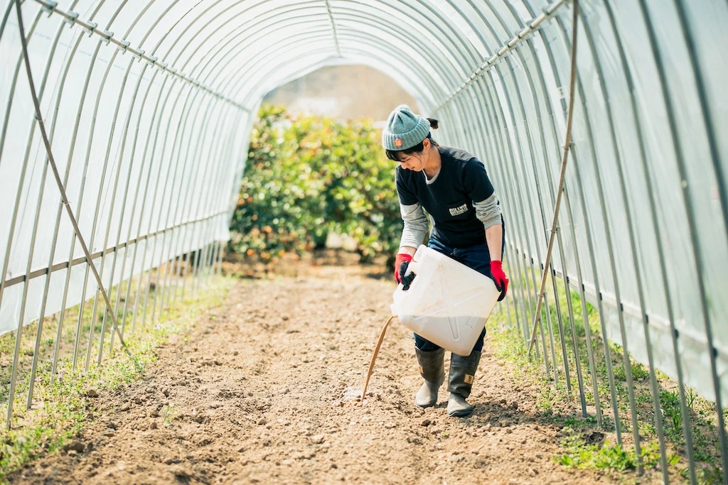 Photo of a woman wrapping liquid around a field in what looks like a plastic greenhouse.