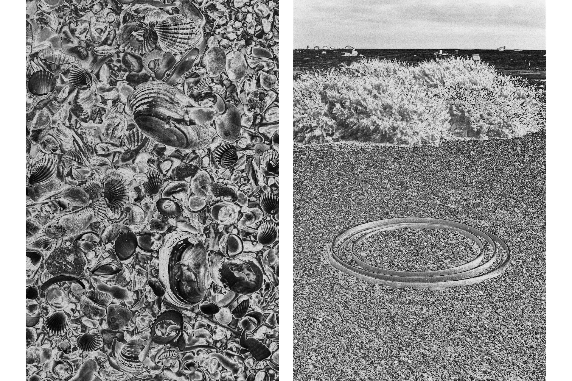 Two photos included in the photo book. Left: A pile of shells. Right: An industrial work of art placed on the ground. The ocean stretches out in the background.