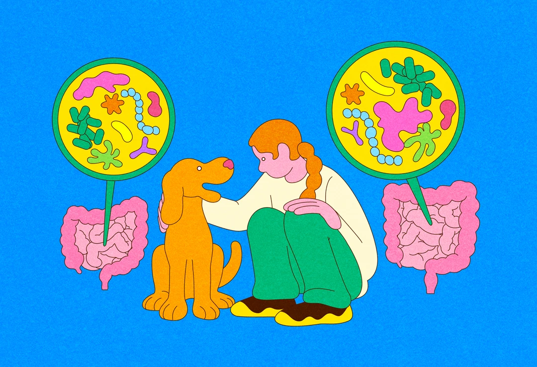 An illustration of a woman petting a dog, with images of their respective intestines and gut microbiomes next to them, set against a blue background.