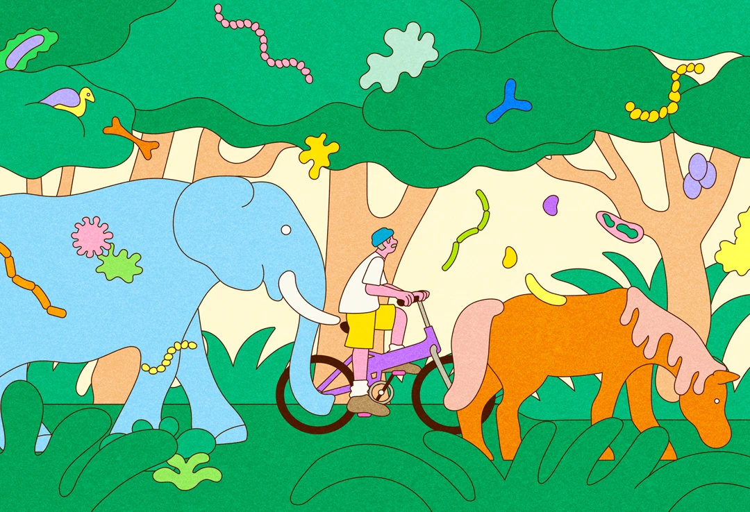 An illustration of a horse leading a man on a bicycle and an elephant marching through a forest, with many microorganisms surrounding them.