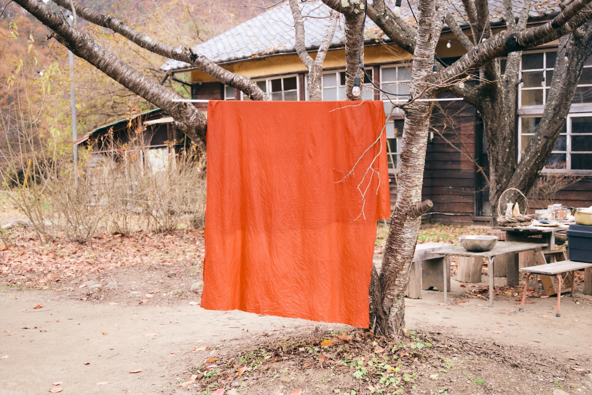 A photograph of a large vermilion cloth dyed with grass and trees is draped over a leafless branch section of a tree.