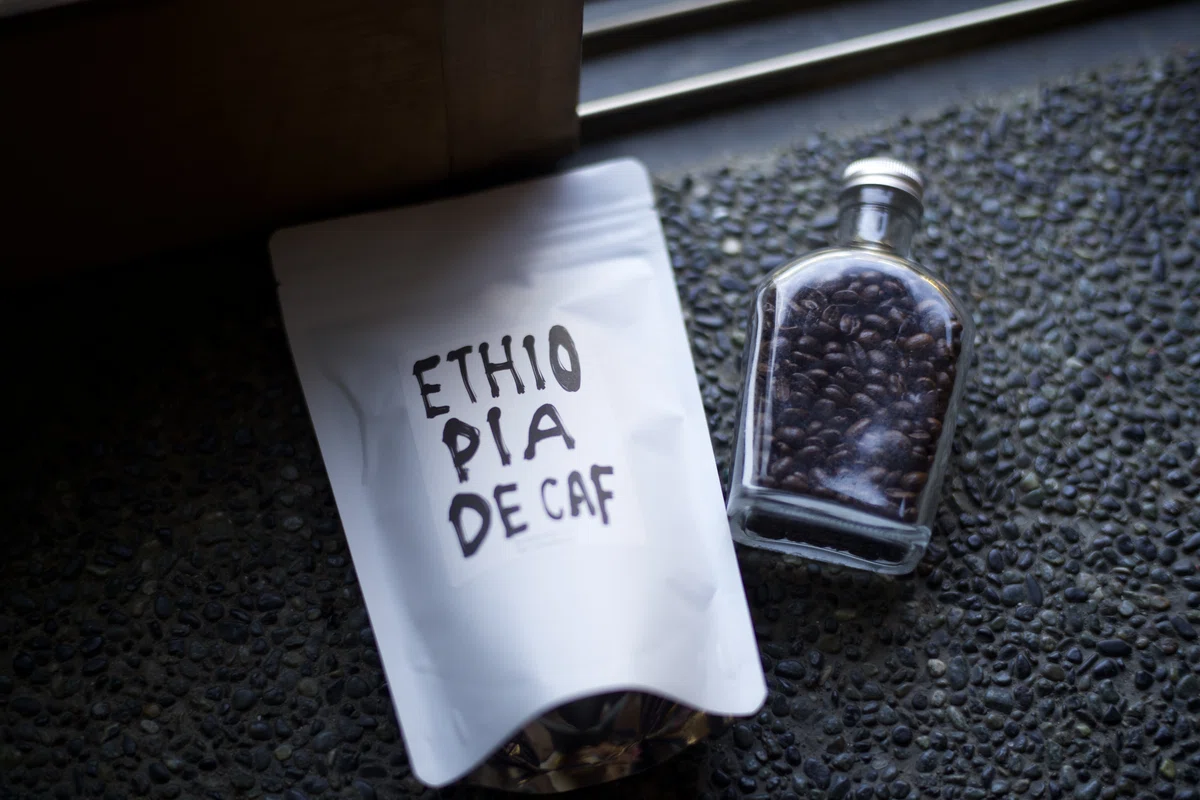 Picture of the author