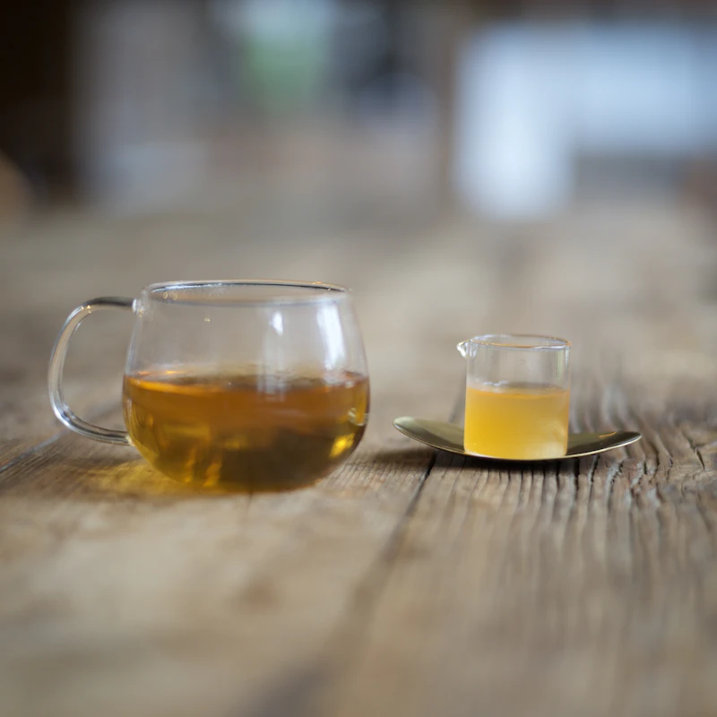 Picture of the author