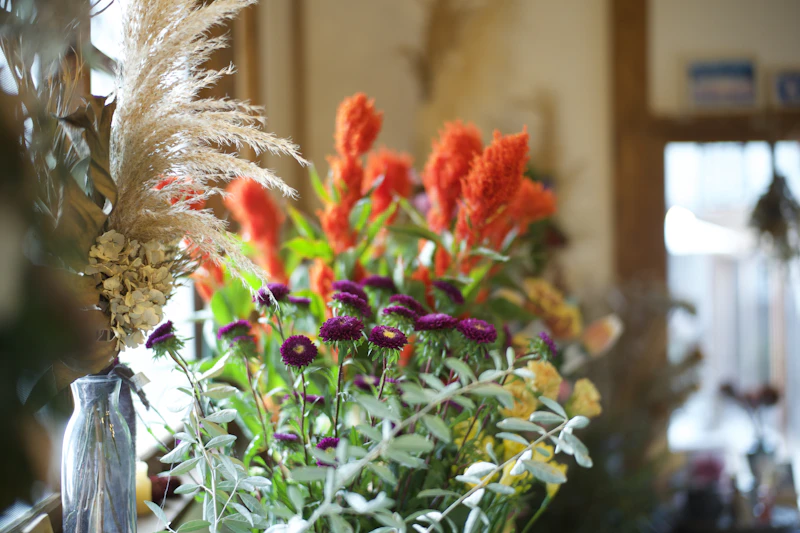 Picture of the author