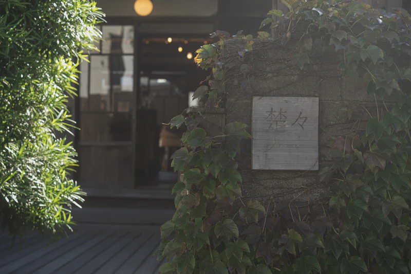 Picture of the author