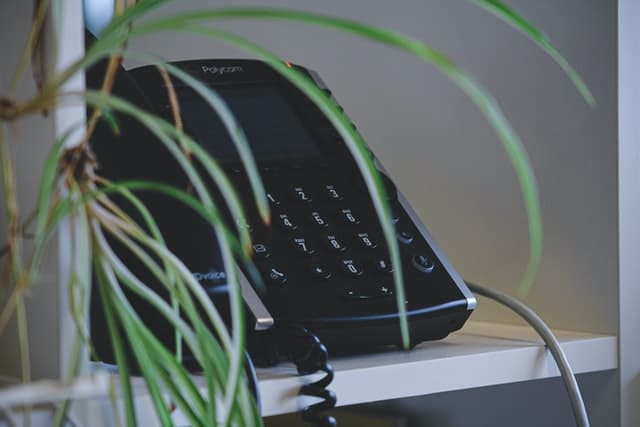 観葉植物と電話