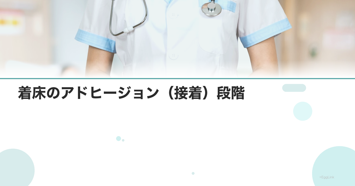 着床のアドヒージョン(接着)段階