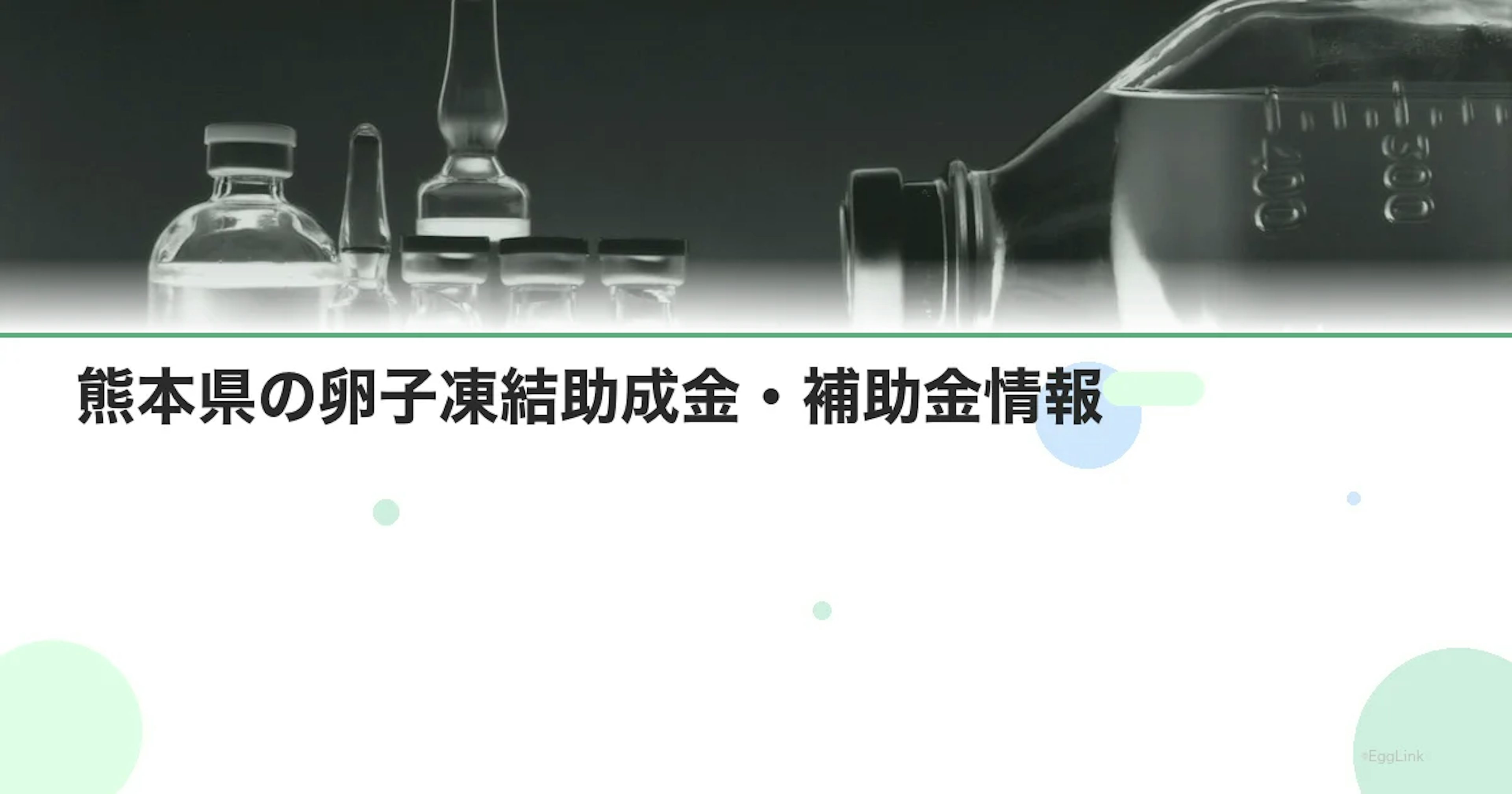 【2026年最新】熊本県の卵子凍結助成金・補助金情報｜国の制度と費用を徹底解説