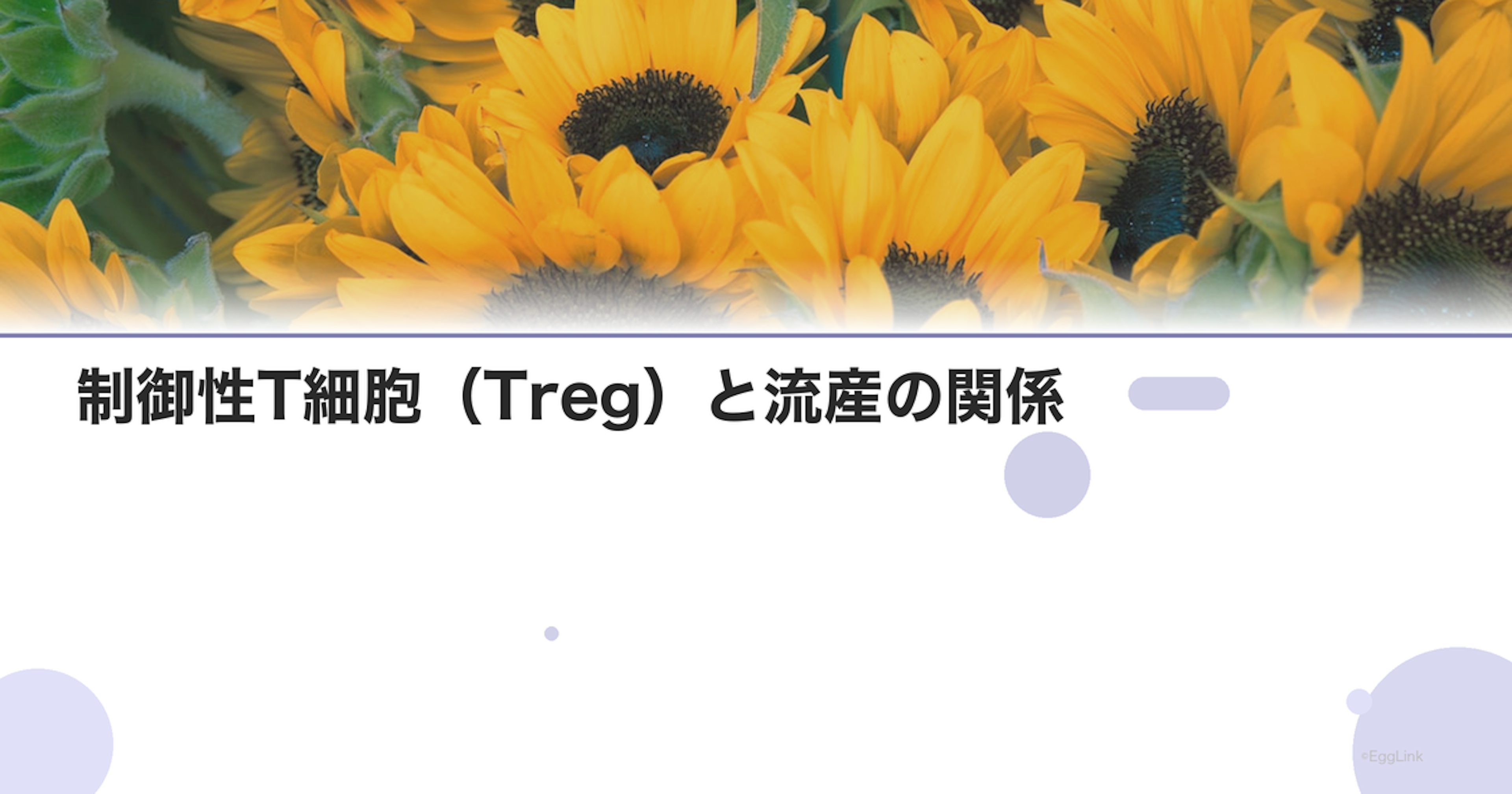 制御性T細胞（Treg）と流産の関係｜免疫寛容の仕組み