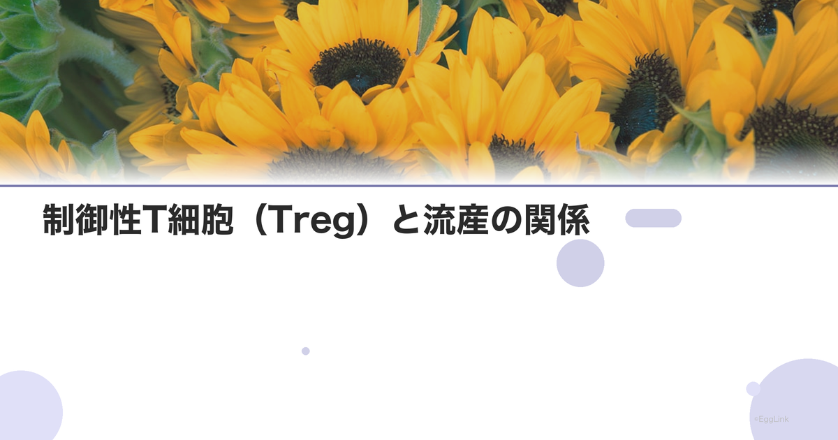 制御性T細胞(Treg)と流産の関係|免疫寛容の仕組み