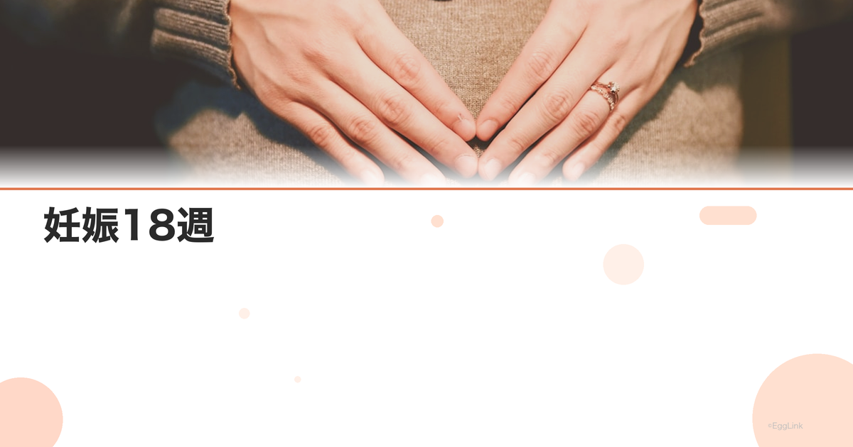 妊娠18週|胎動を感じる?赤ちゃんの大きさと母体の変化