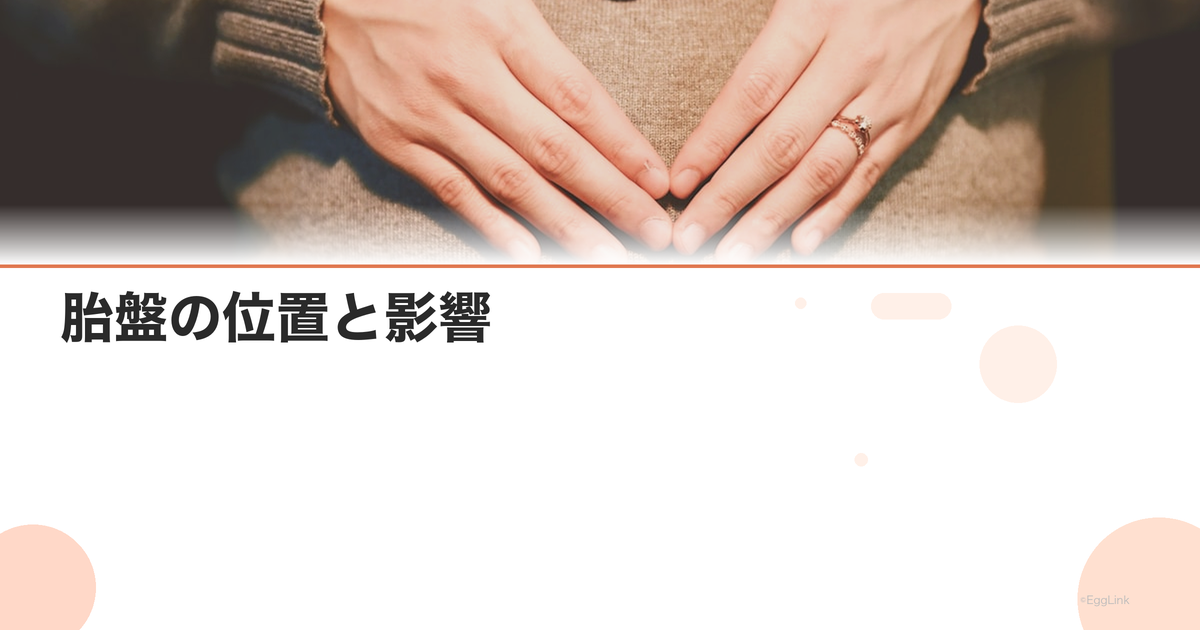 胎盤の位置と影響|前壁胎盤・後壁胎盤・低置胎盤の違い