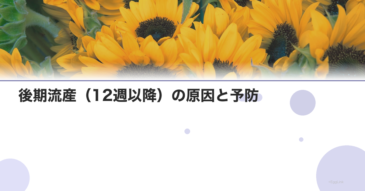 後期流産(12週以降)の原因と予防|中期流産のリスク