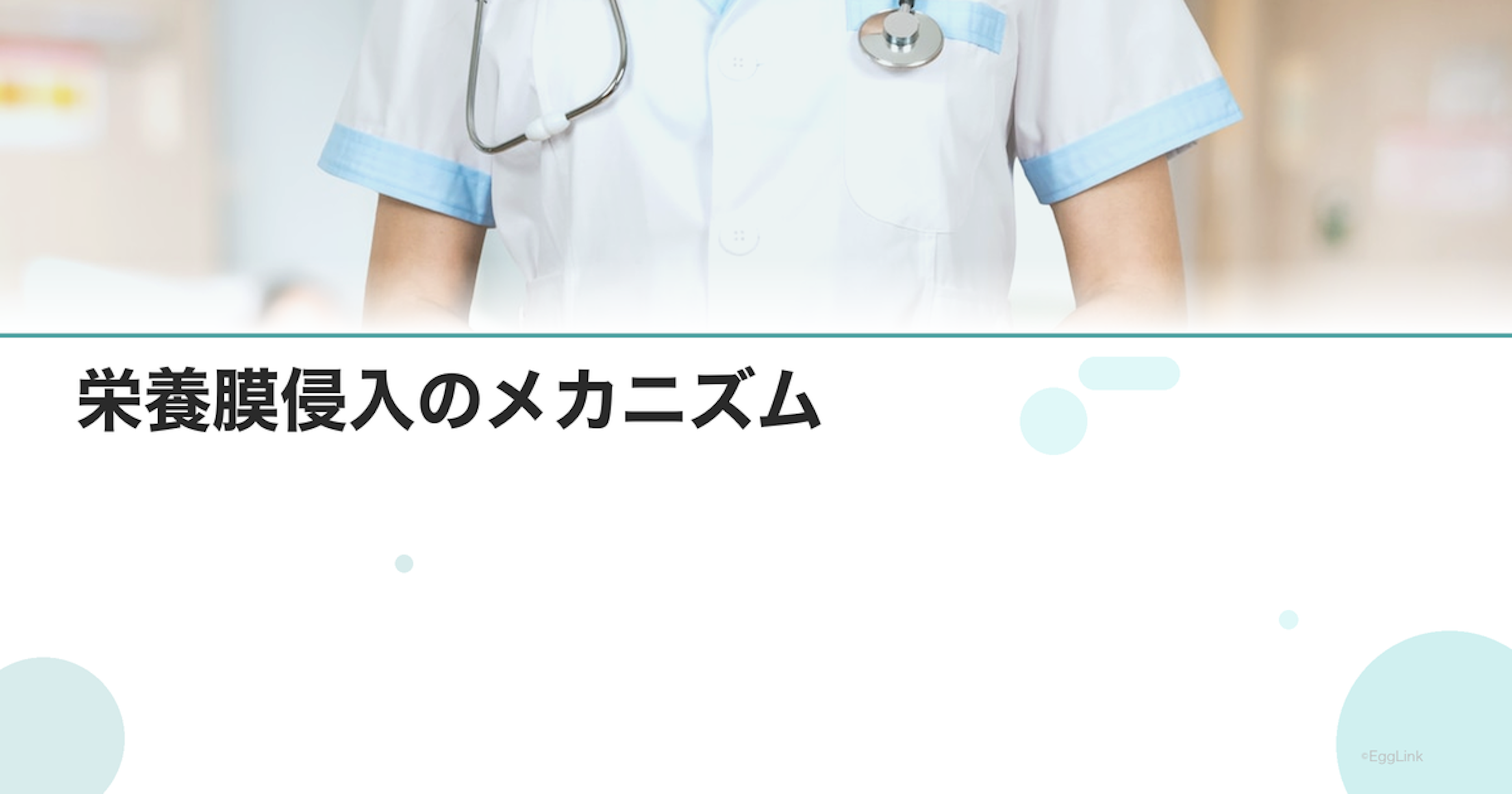 栄養膜侵入のメカニズム｜着床の科学
