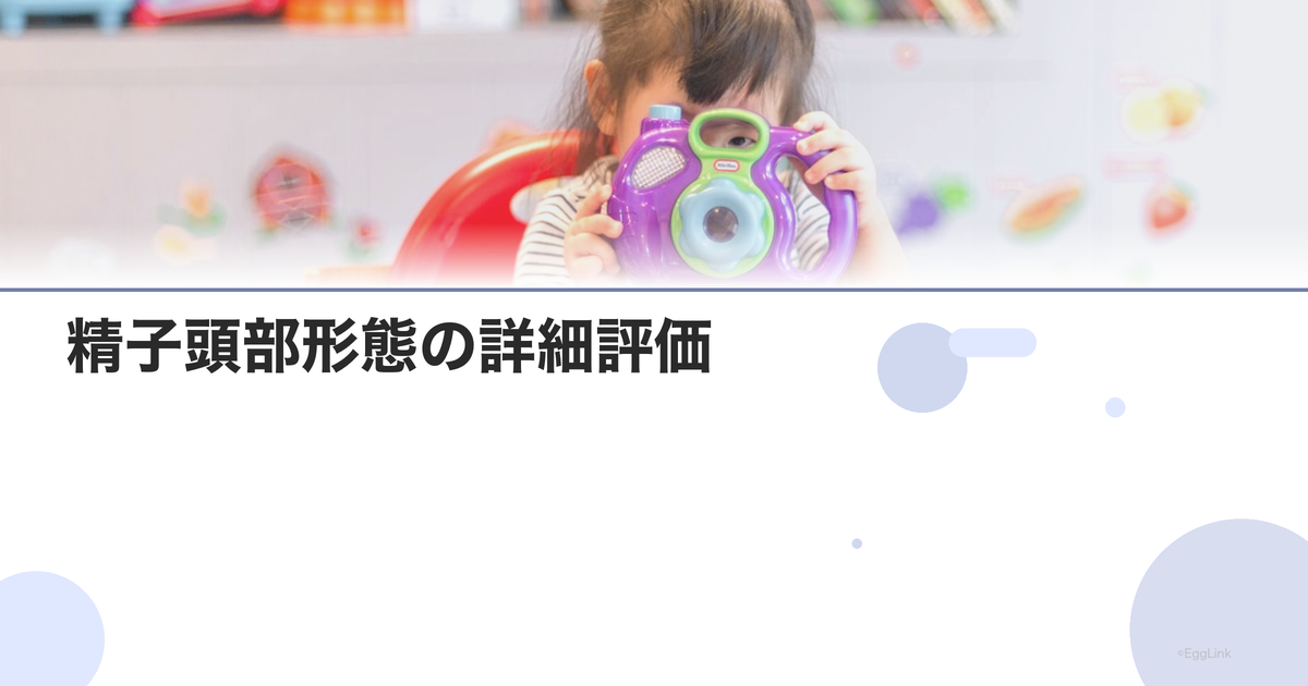 精子頭部形態の詳細評価|MSOME(高倍率観察)