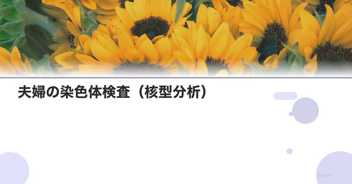 夫婦の染色体検査(核型分析)|不育症の原因検索