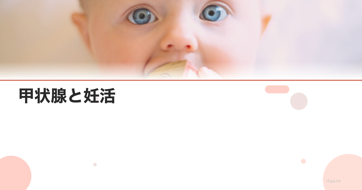 甲状腺と妊活|甲状腺機能異常が妊娠に与える影響