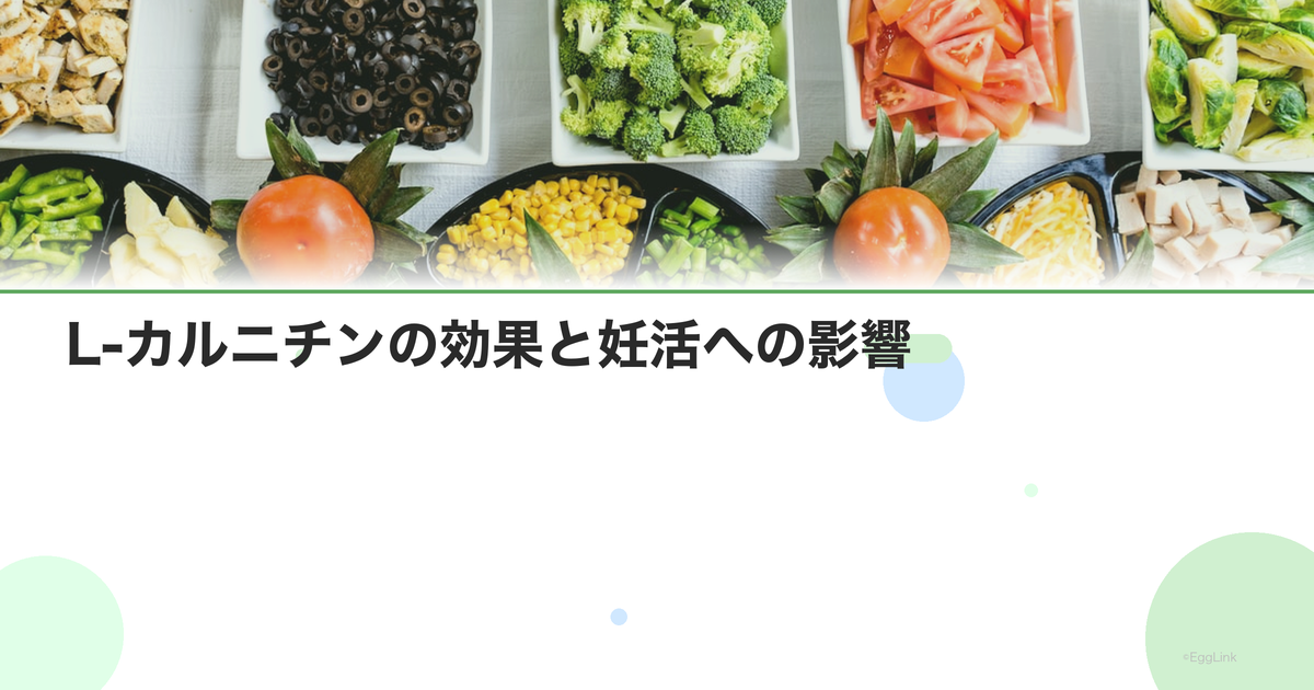 L-カルニチンの効果と妊活への影響|脂肪燃焼・精子の運動率