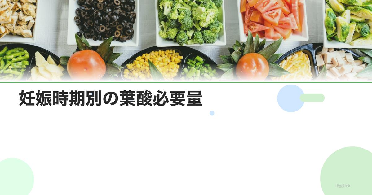 妊娠時期別の葉酸必要量|妊活中〜授乳期までの推奨量