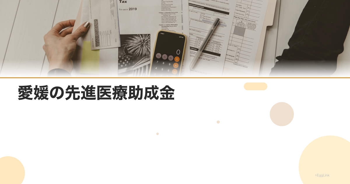 愛媛の先進医療助成金|金額と申請方法