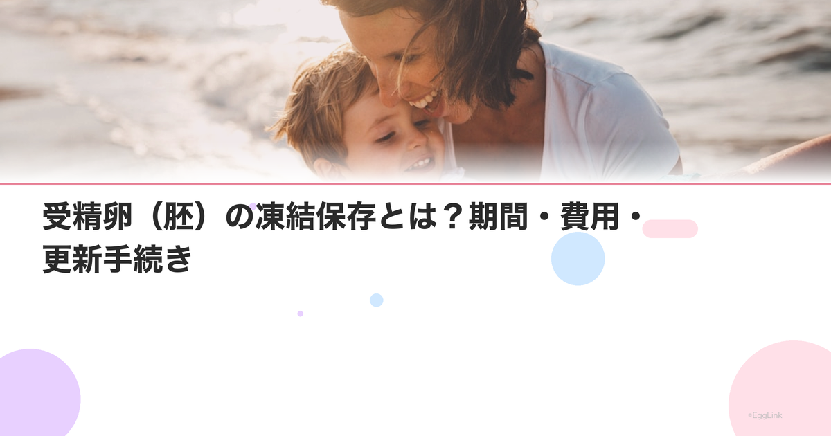 受精卵(胚)の凍結保存とは?期間・費用・更新手続き