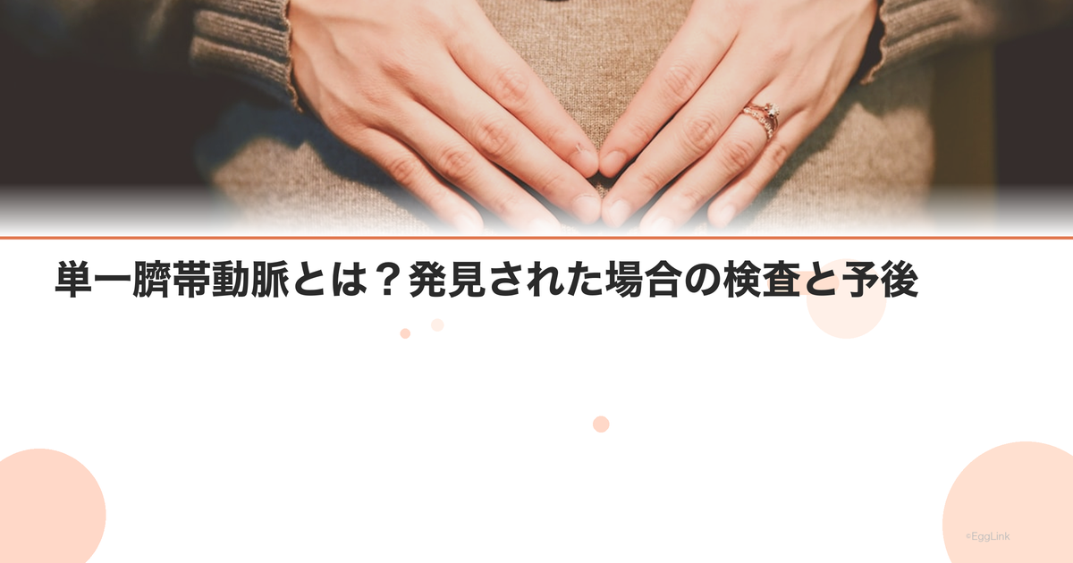 単一臍帯動脈とは?発見された場合の検査と予後