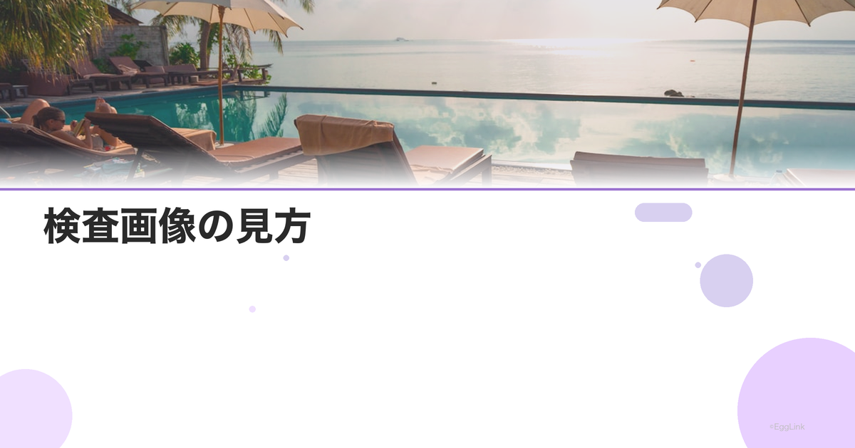 検査画像の見方|エコー写真・HSG画像の解説