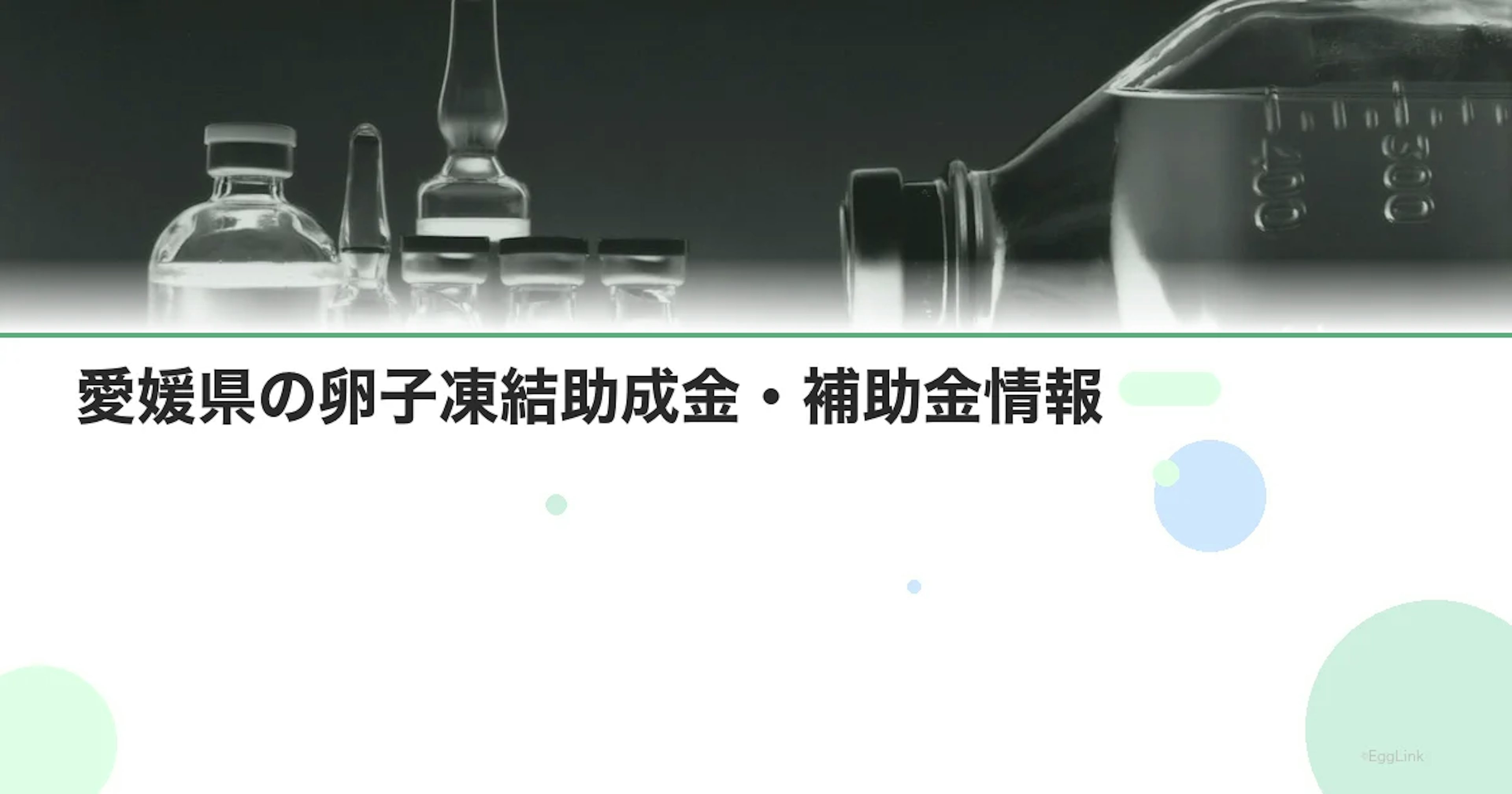 【2026年最新】愛媛県の卵子凍結助成金・補助金情報|国の制度と費用を徹底解説