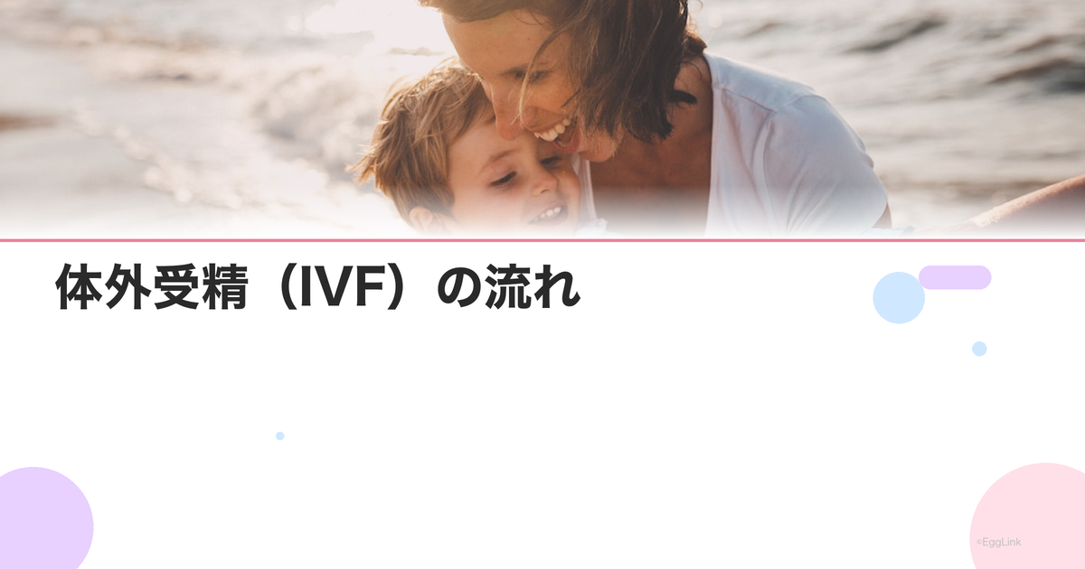体外受精(IVF)の流れ|採卵から移植までのスケジュール