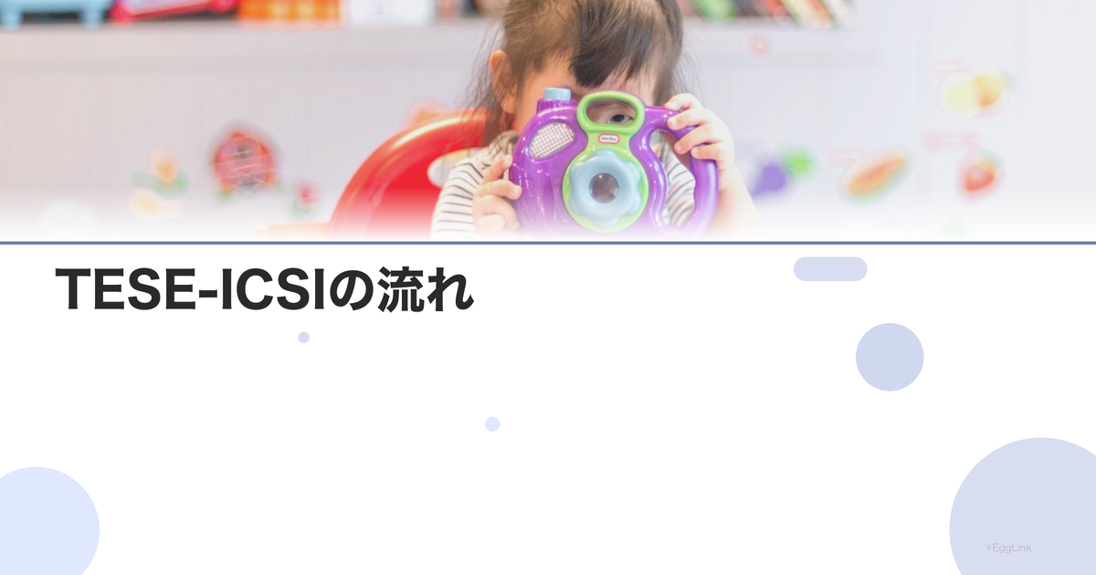 TESE-ICSIの流れ|精子回収から顕微授精まで