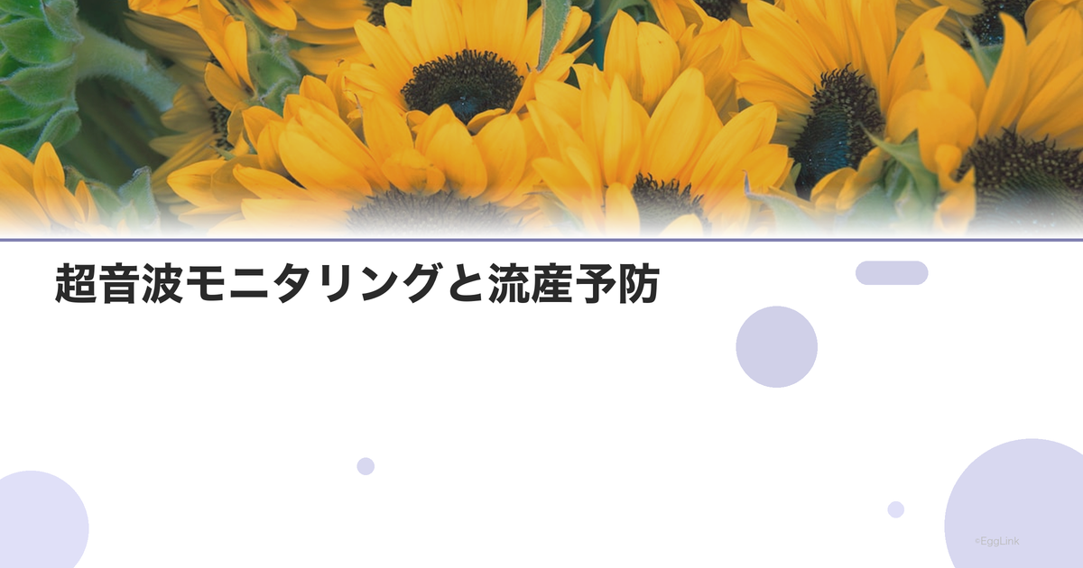 超音波モニタリングと流産予防|定期検査の重要性