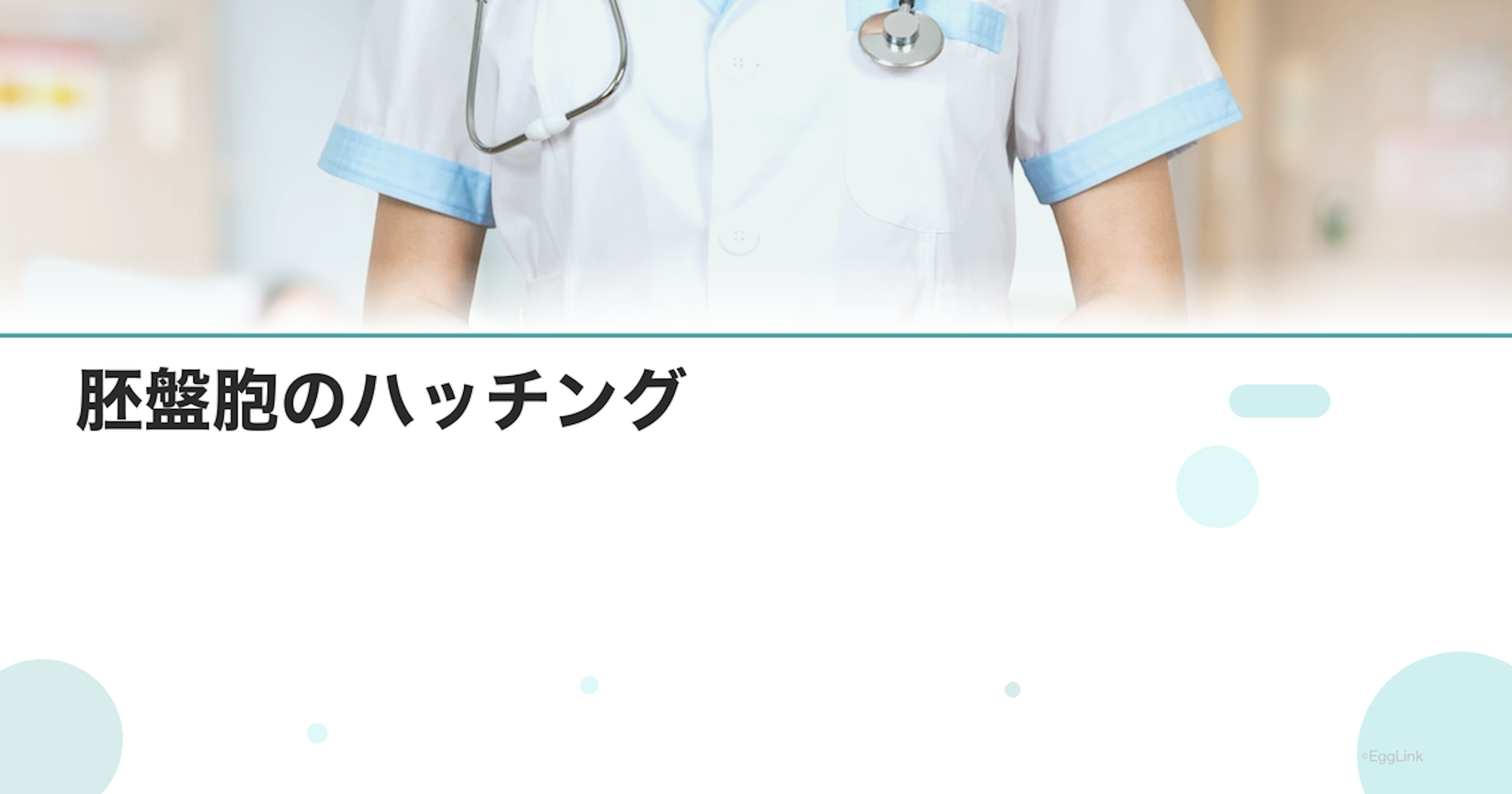 胚盤胞のハッチング｜透明帯からの脱出