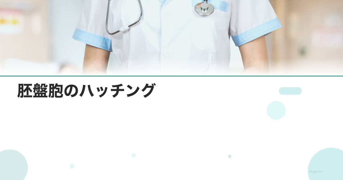 胚盤胞のハッチング|透明帯からの脱出