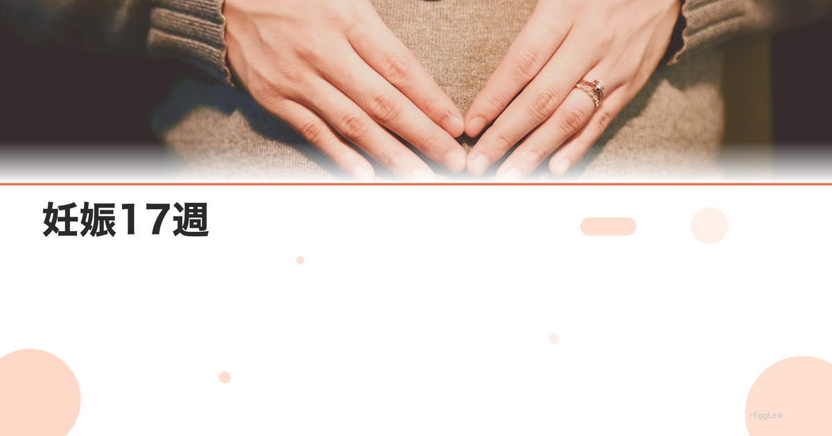 妊娠17週|お腹の大きさ・胎動・赤ちゃんの成長と過ごし方