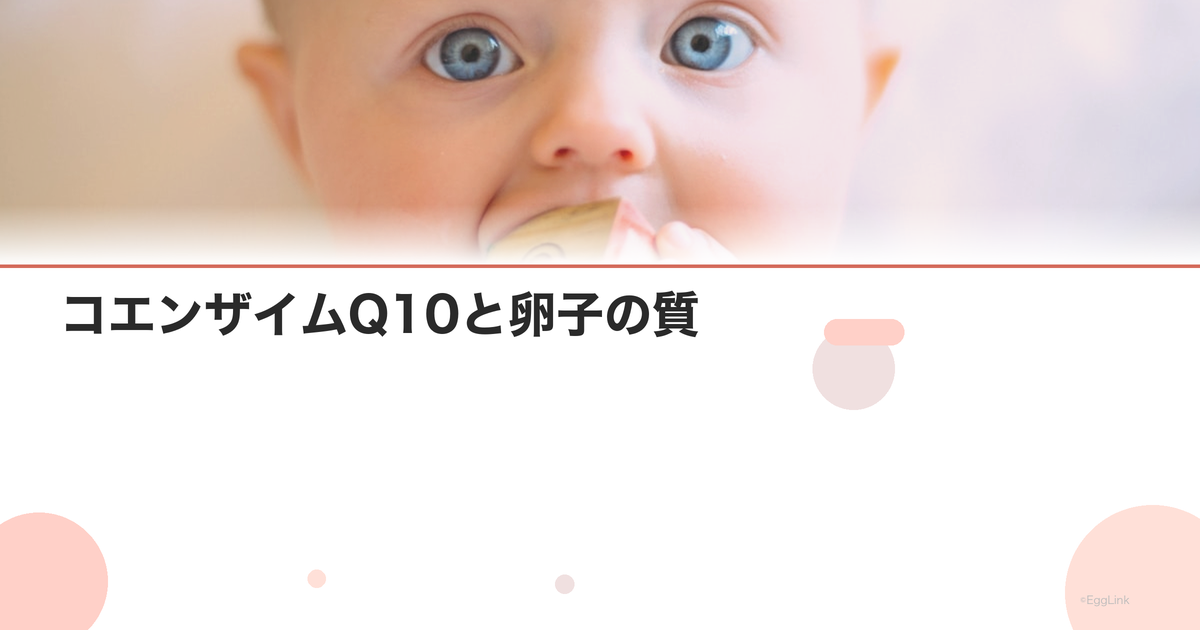 コエンザイムQ10と卵子の質|ミトコンドリア活性化