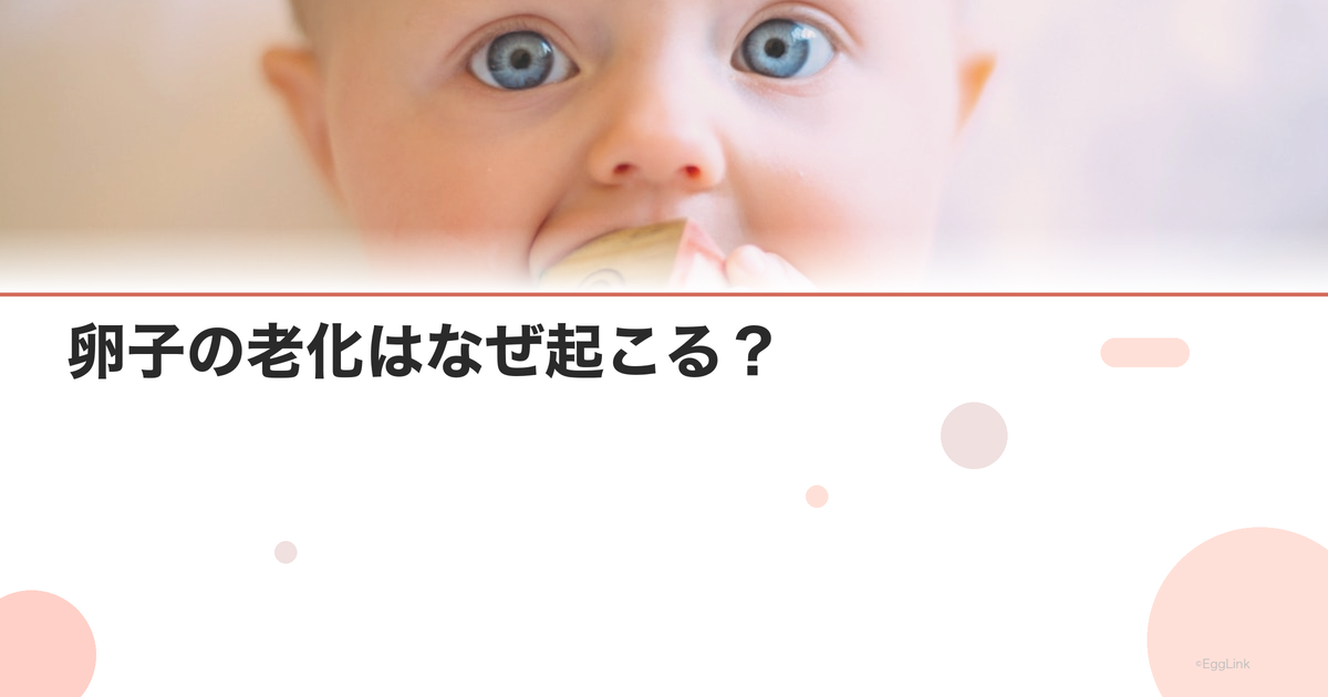 卵子の老化はなぜ起こる?|メカニズムと対策