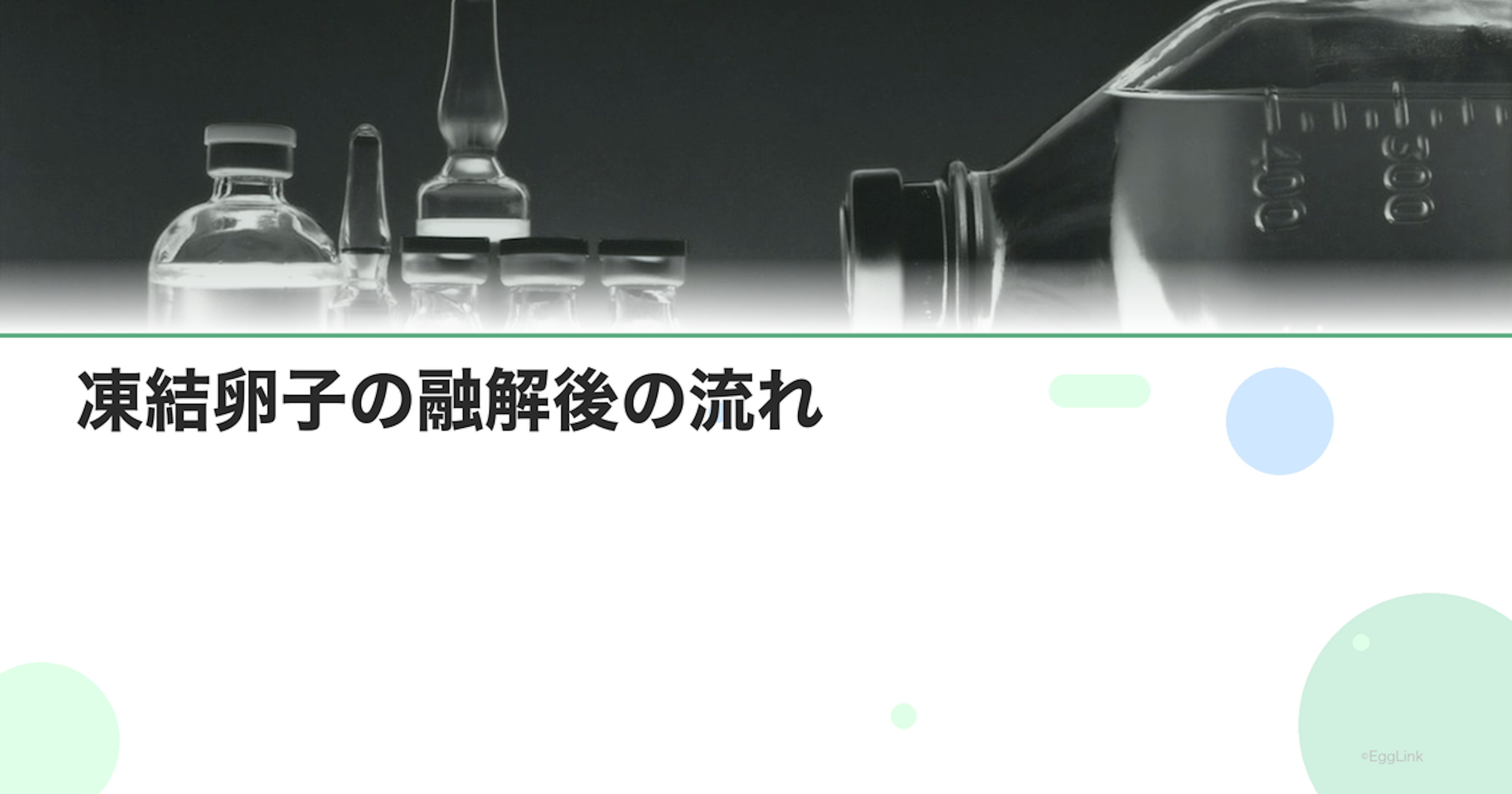 凍結卵子の融解後の流れ｜体外受精・胚移植