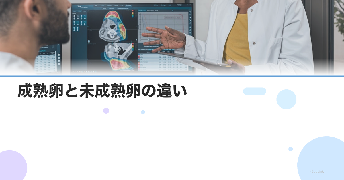 成熟卵と未成熟卵の違い|GV・MI・MIIの分類と受精率への影響