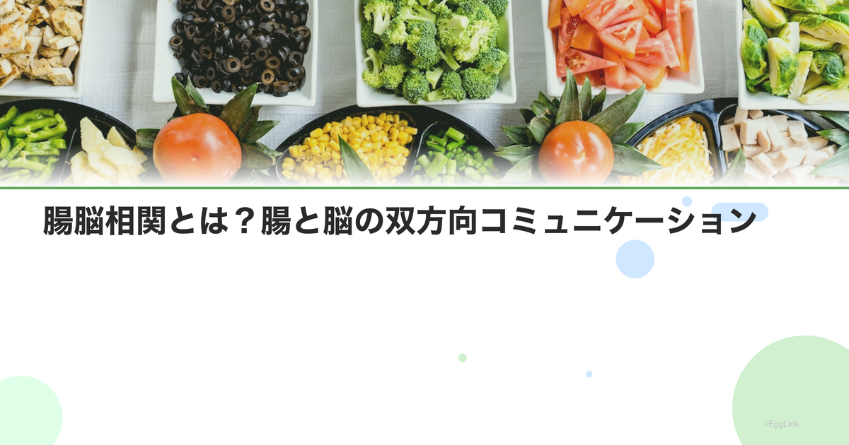 腸脳相関とは?腸と脳の双方向コミュニケーション