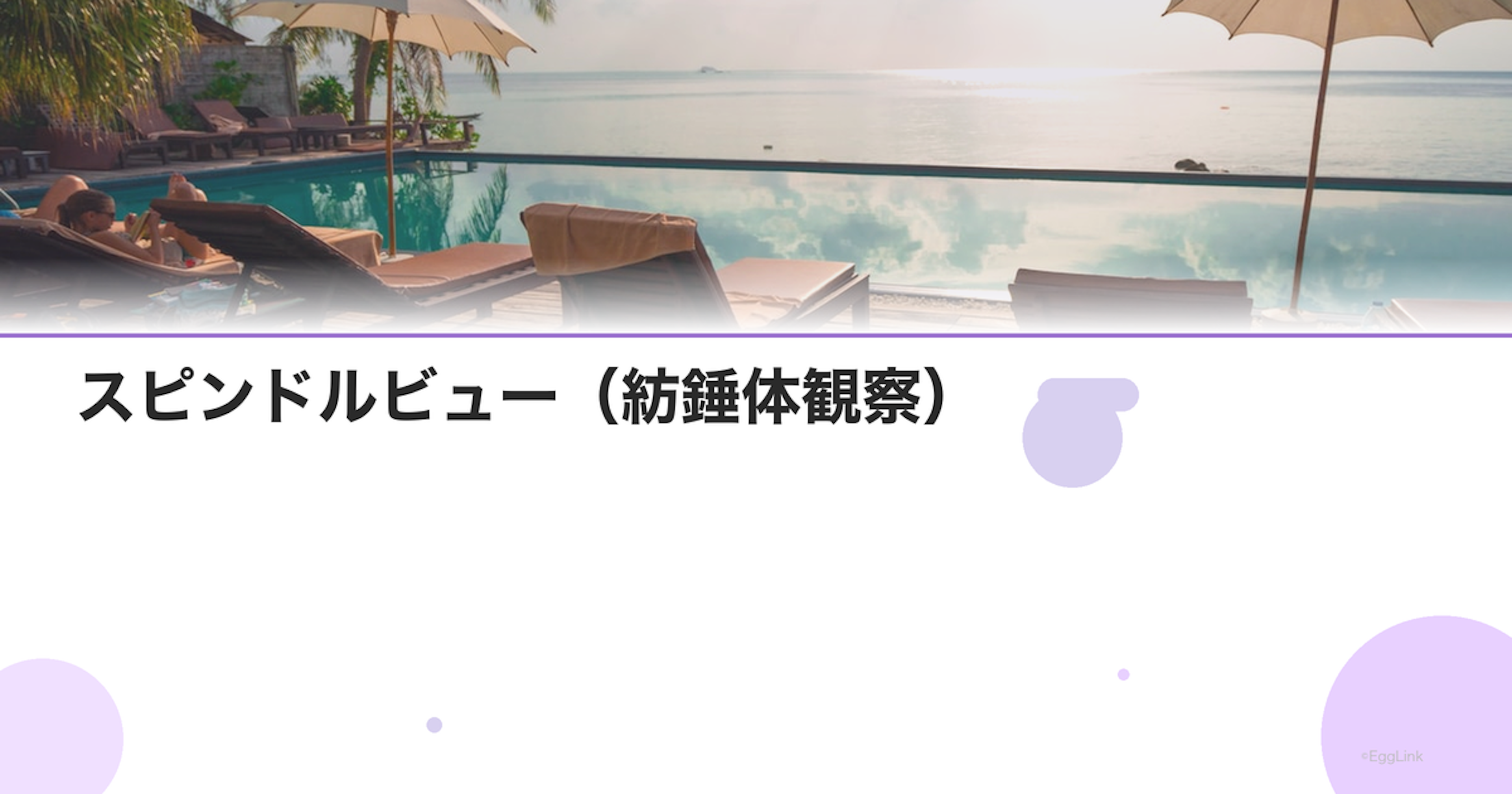 スピンドルビュー（紡錘体観察）｜ICSI精度向上