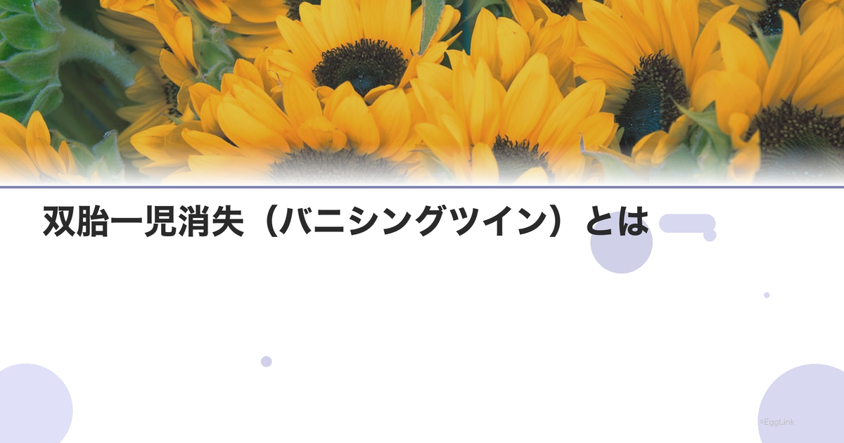 双胎一児消失(バニシングツイン)とは|原因と影響