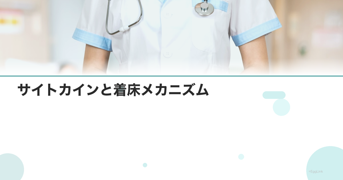 サイトカインと着床メカニズム