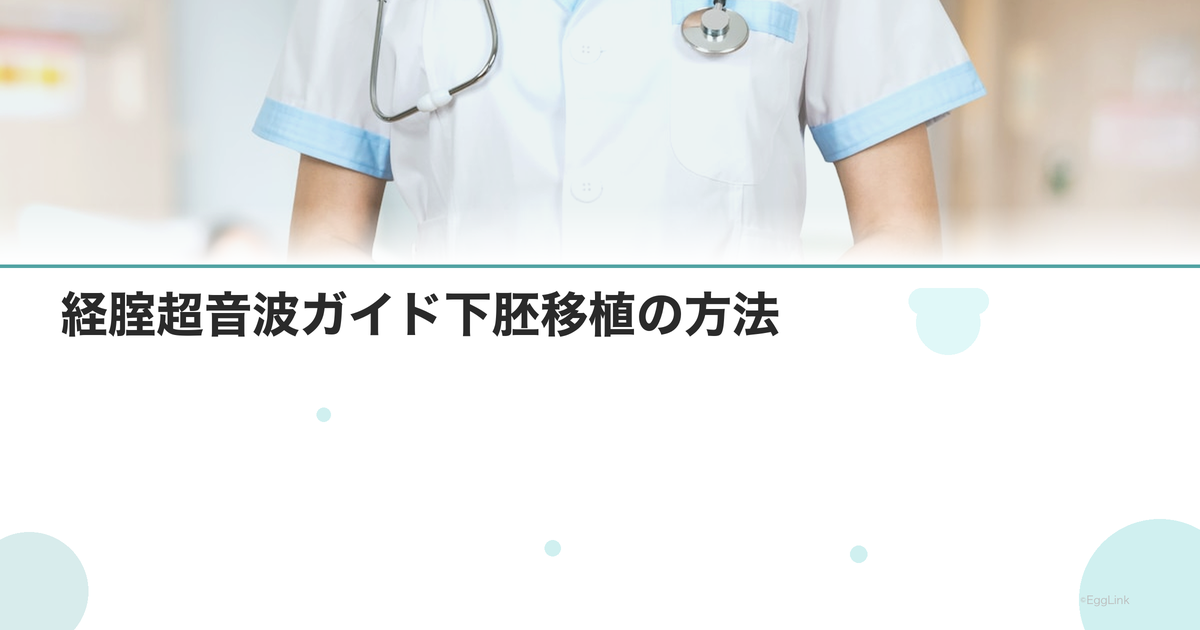 経腟超音波ガイド下胚移植の方法