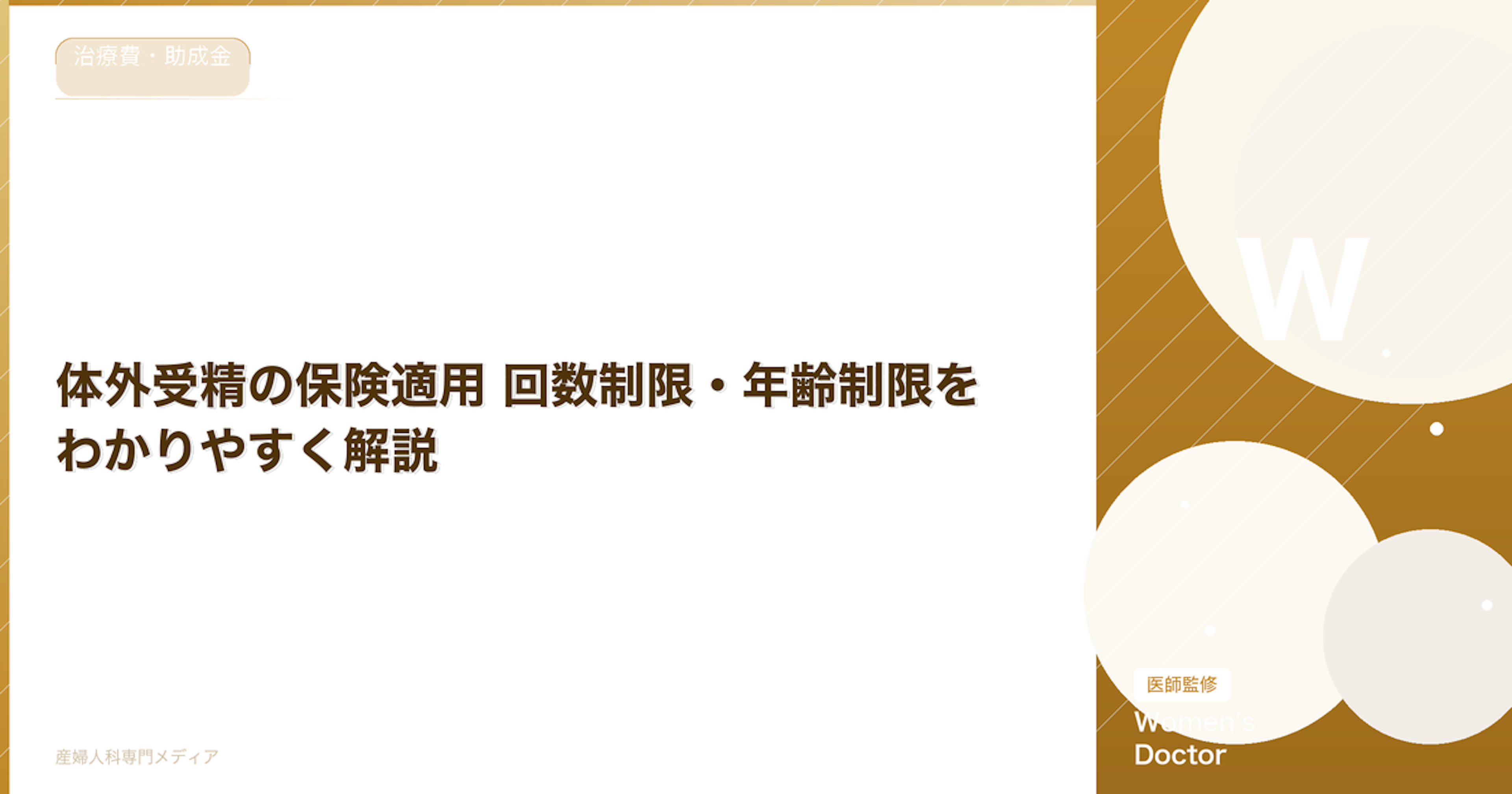 体外受精の保険適用 回数制限・年齢制限をわかりやすく解説【2026年最新】