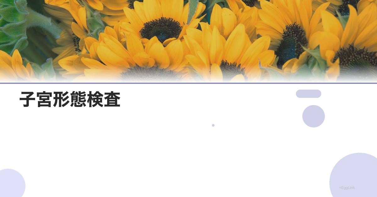 子宮形態検査|MRI・子宮鏡・造影検査の違い