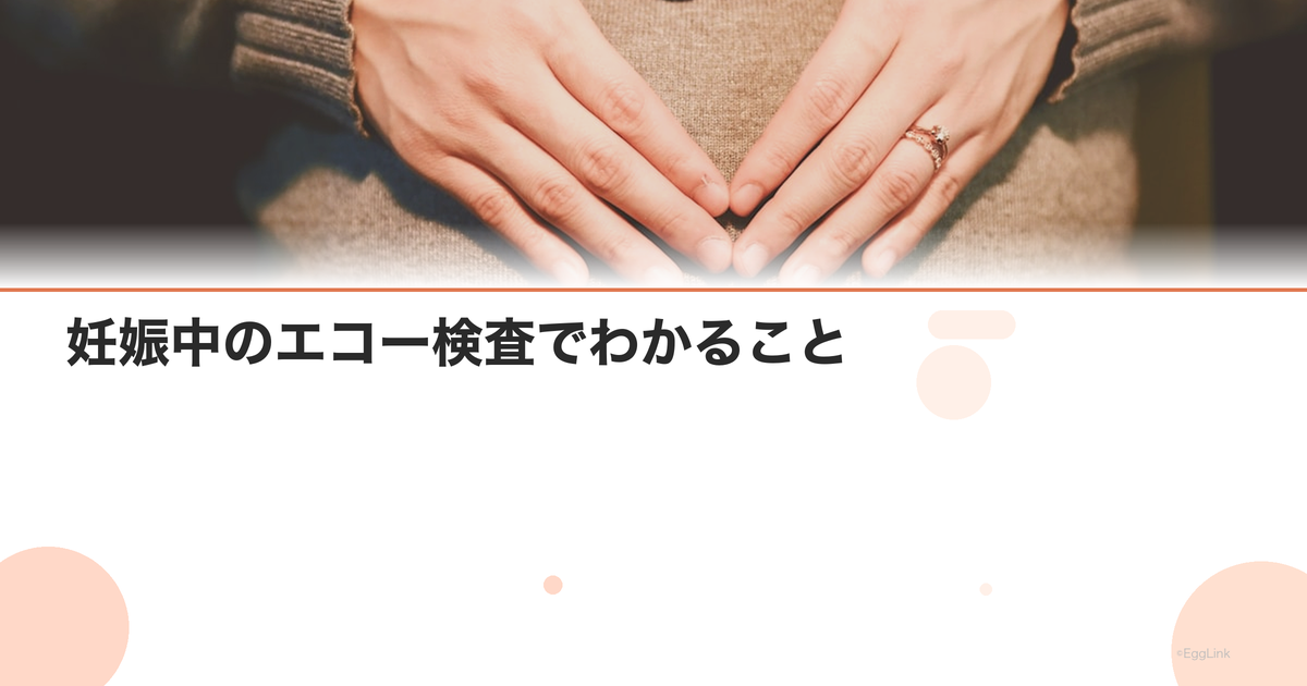 妊娠中のエコー検査でわかること|2D・3D・4Dの違い