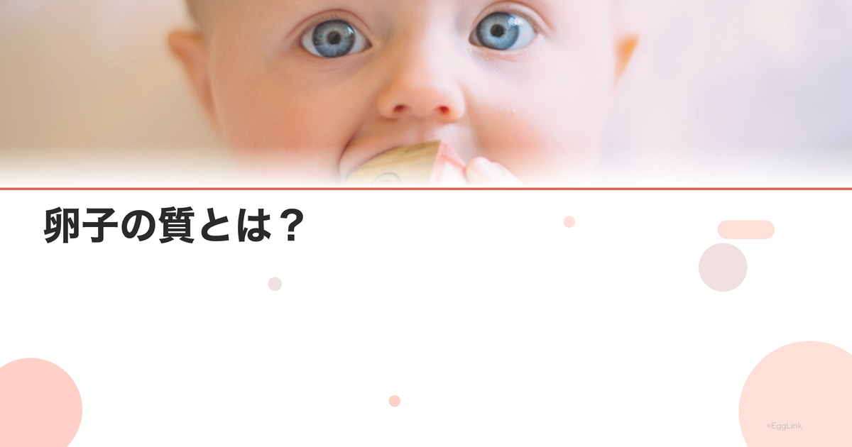 卵子の質とは?|妊娠成功に影響する要因を解説
