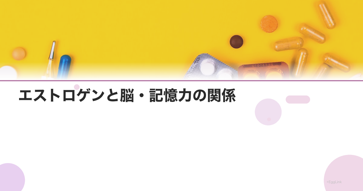 エストロゲンと脳・記憶力の関係|更年期のもの忘れ対策